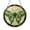 Acrylic 3.5 Inch, variant on Stained Glass Style Luna Moth Panel, Vibrant Window Art for Garden Inspired Homes and Gift Ideas