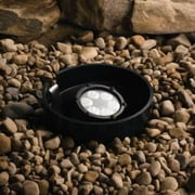 Six Light Textured Black Spot Light