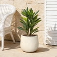 thumbnail image 4 of LuxenHome 14" Dia Large Plant Pot with Drainage, Texutred RoundPlanter Pot for Indoor and Outdoor Plants, 4 of 7