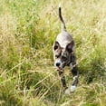 thumbnail image 4 of Nature’s Recipe Stew Chicken, Rice & Barley Recipe Wet Dog Food, 13.2 oz. Can, 4 of 8