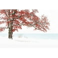 thumbnail image 2 of Eisenmann, Ulrike 24x17 White Modern Wood Framed Museum Art Print Titled - Winterdream, 2 of 4