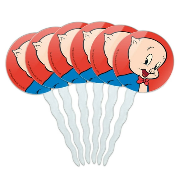 Looney Tunes Porky Pig Cupcake Picks Toppers Decoration Set of 6