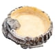 thumbnail image 4 of Comedero para reptiles de agua poco profunda con escalón interior, accesorio para animales pequeños, bandeja de agua de resina versátil de 15 cm de, 4 of 8