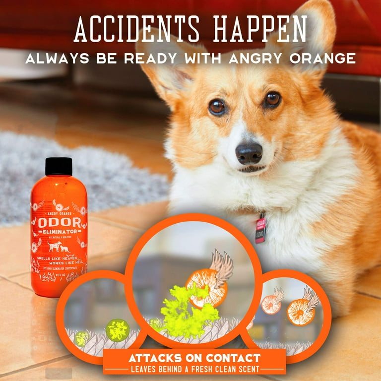 Angry Orange Pet Carpet Stain Remover Orange Scent 8 Fluid Ounce