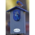 thumbnail image 2 of JCS Wildlife Ultimate Bluebird House - Mounting Pole Bundles Available!, 2 of 11