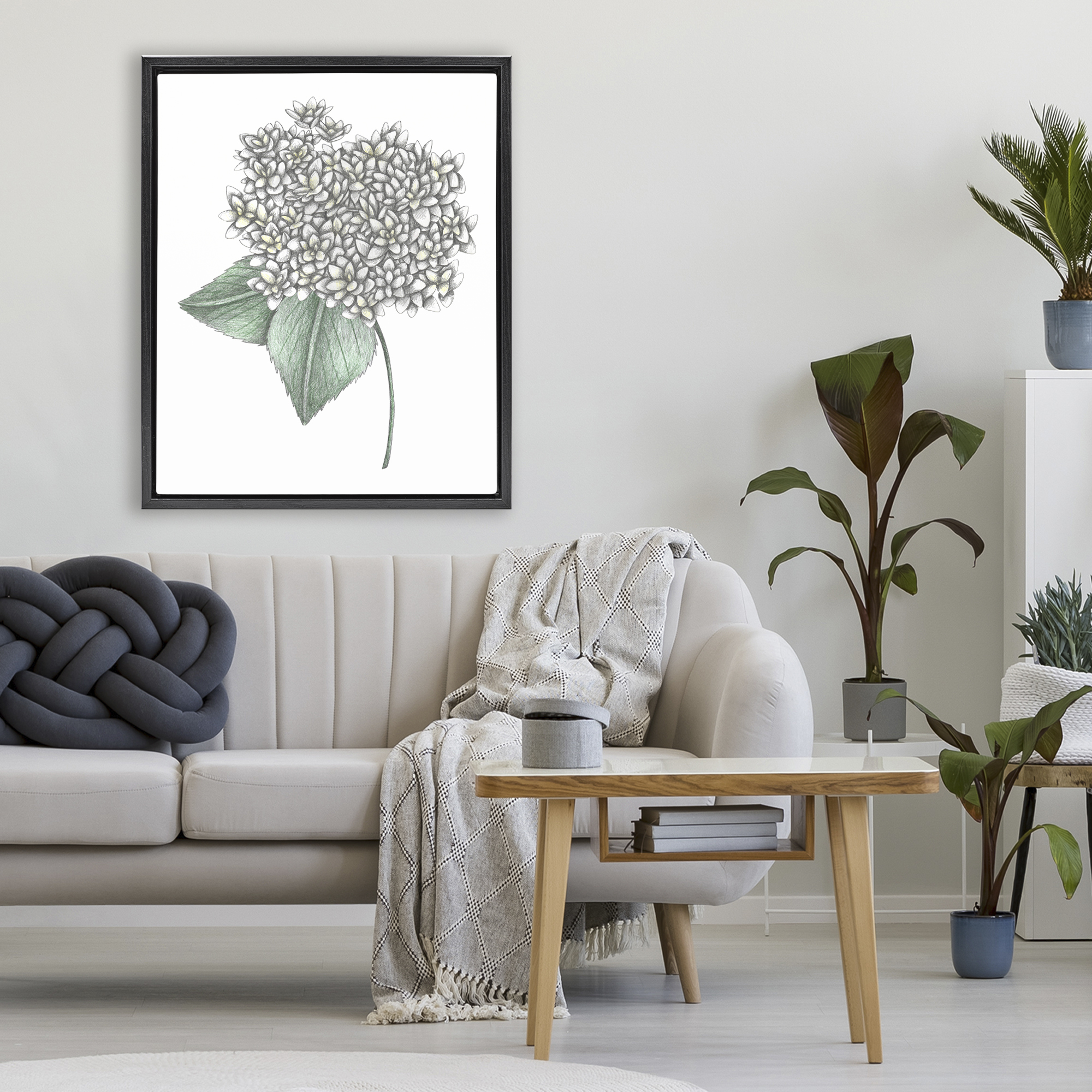 White Hydrangea Sketch Blossom Black Framed Floater Canvas Wall Art, design by Cecilia Battaini