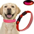 thumbnail image 1 of Dog LED Light Collar Ultra 300m Visibility  Adjustable Length  Rechargeable Night Anti-Loss LED, 1 of 10
