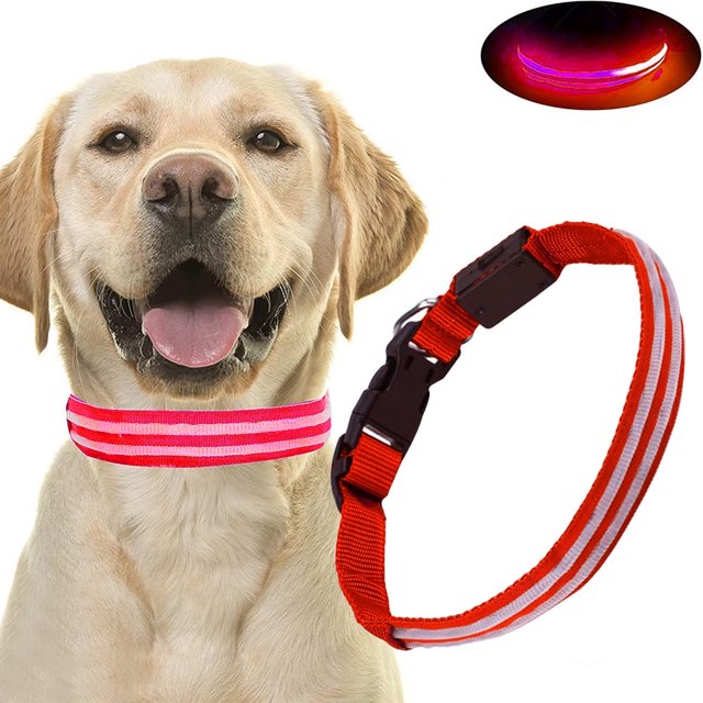 Dog LED Light Collar Ultra 300m Visibility Adjustable Length Rechargeable Night Anti-Loss LED