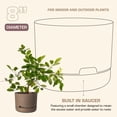 thumbnail image 4 of Rugg 11" x 9" x 9" Round Cappuccino Resin Plant Planter, 4 of 6