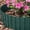 Green_L, variant on Green Corrugated Metal Landscape Edging – Flexible & Rustproof Garden Edging Border, Decorative Metal Trim for Flower Beds, Lawn, Driveway, Walkway & Raised Beds 4 In x 30 Ft