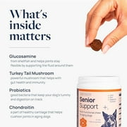 Veterinary Formula Senior Support Supplement for Dogs, Smart Vitality for Joint, Digestion, and Immune Health, 60 Chews