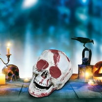 Realistic Plastic Skull - Halloween Skeleton Prop (Life-Size Spooky Decor for Yard & Parties)