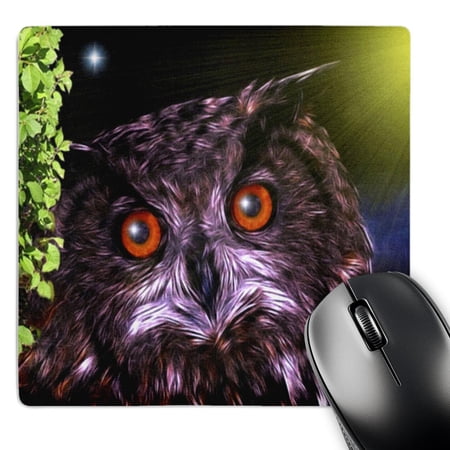 3dRose  Owl - Bird Art  MousePad price history on PriceWatchPro
