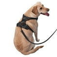 thumbnail image 2 of Salouo Cool Sports Car for Dog Harness, No-Pull Pet Harness Adjustable Dog Vest No-Choke Reflective Pet Vest for Small, Medium & Large Dogs for Training & Walking-Large, 2 of 6