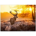 thumbnail image 1 of Deer Ceramic Tile Mural Kitchen Backsplash Bathroom Shower 402730-L43, 1 of 3