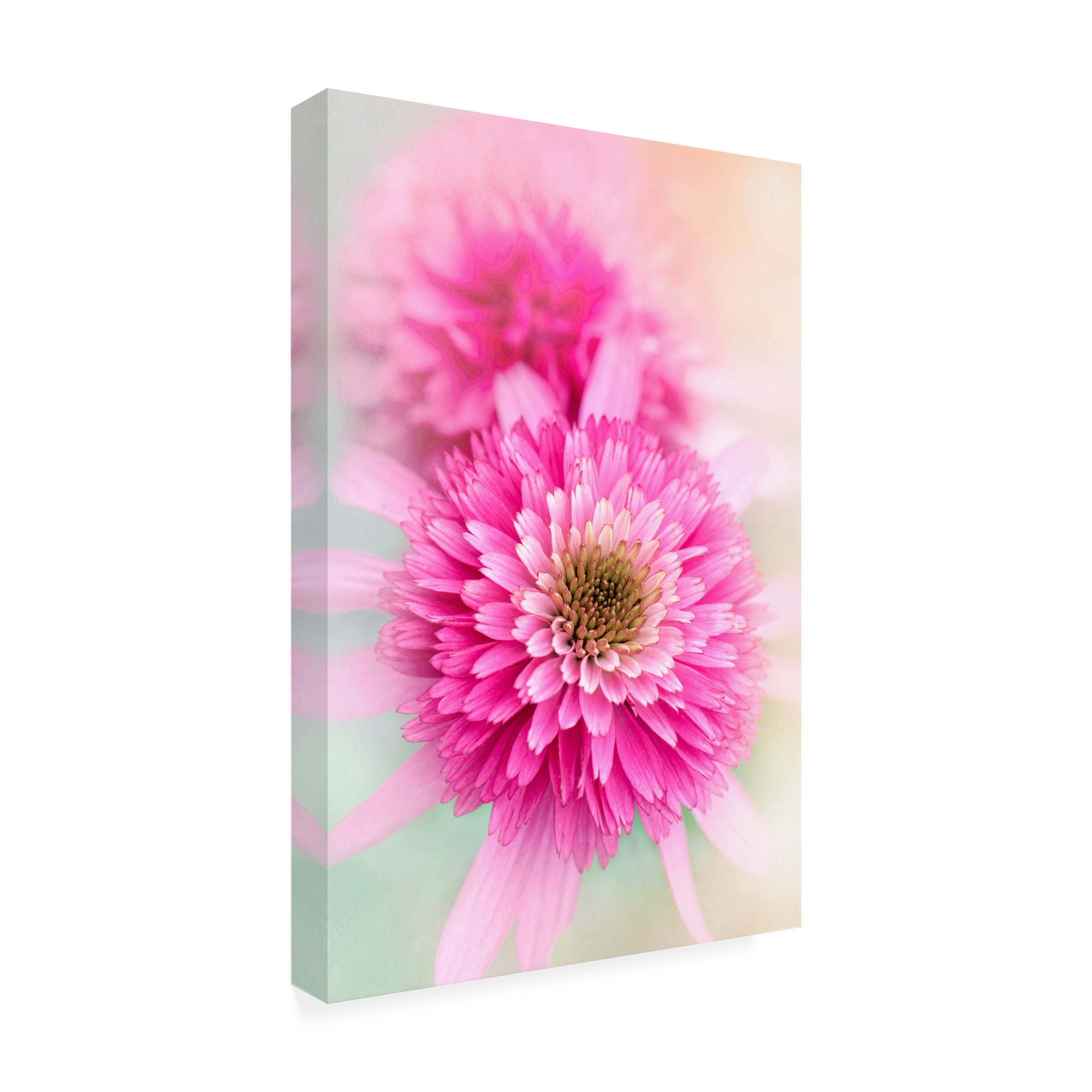 Jacky Parker 'Summer Spirit' Canvas Art