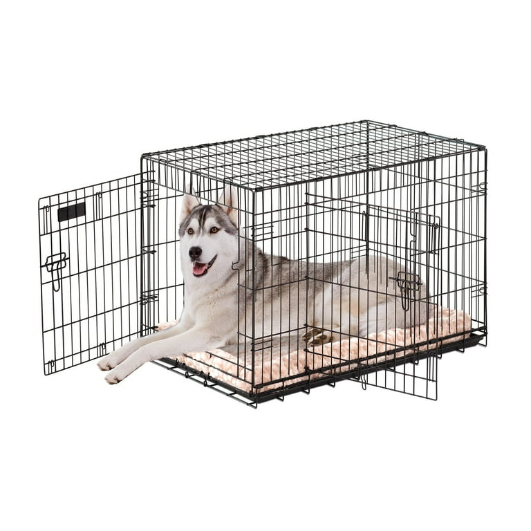 Precision Pet Products newest Great