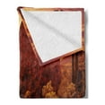 thumbnail image 2 of Saguaro Soft Flannel Fleece Blanket, Dramatic Desert Scenery Like Burnt by Sun near Scottsdale Hot Rocks Serene Western Image, Cozy Plush for Indoor and Outdoor Use, 60" x 80", Red, by Ambesonne, 2 of 5