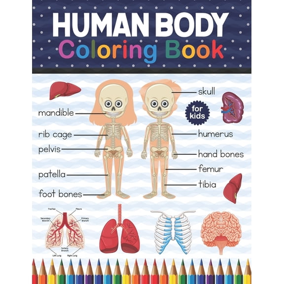 Human Body Coloring Book For Kids: Human Body coloring & activity book for kids Kids Anatomy Coloring Book. Human Skeleton Coloring Book for kids. Human Body Anatomy Coloring Book For Kids, Boys and G