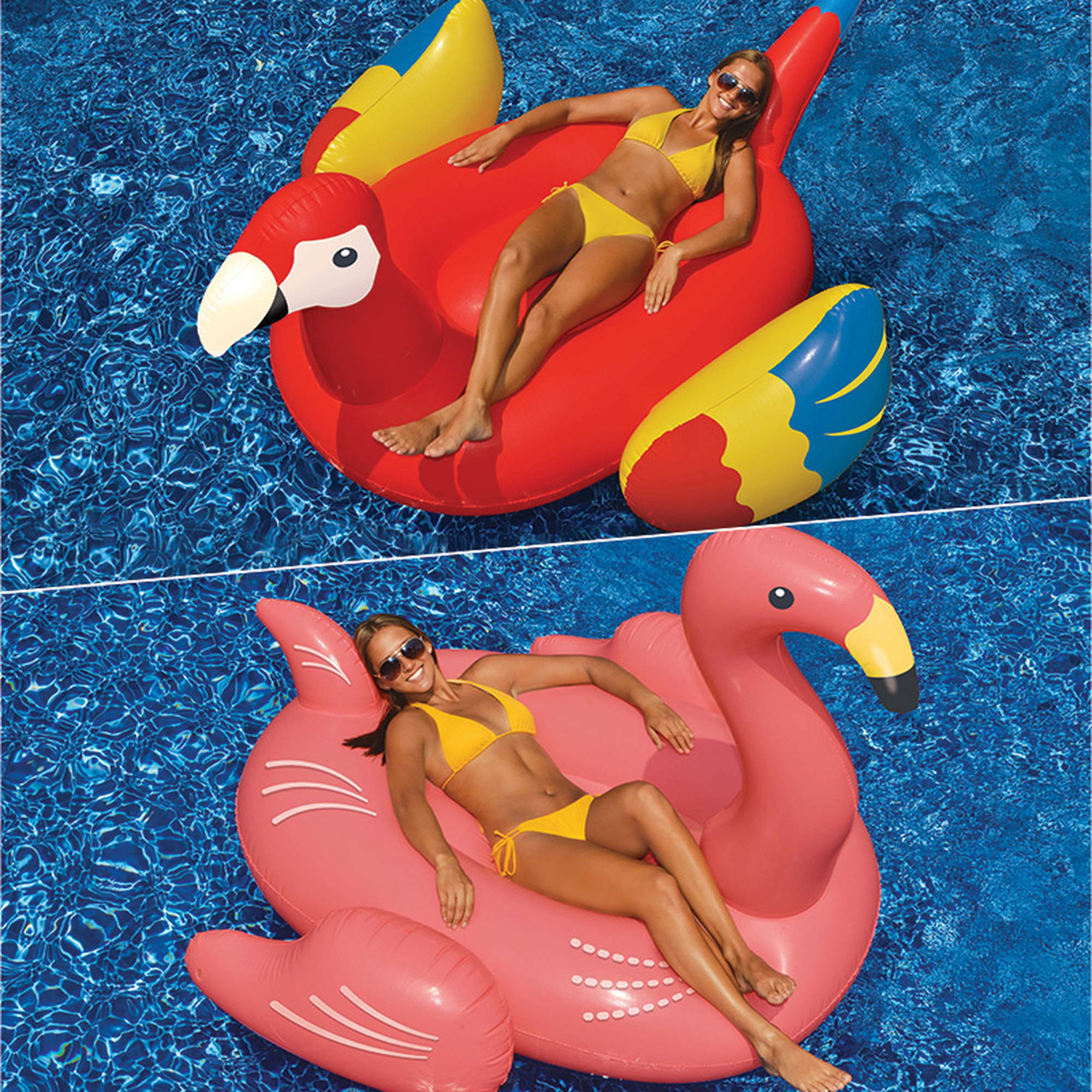 Parrot swim. Blowing up inflatable floaties. плавательные шорты мужские calzedonia. надувной круг попугай. Parrot swim.
