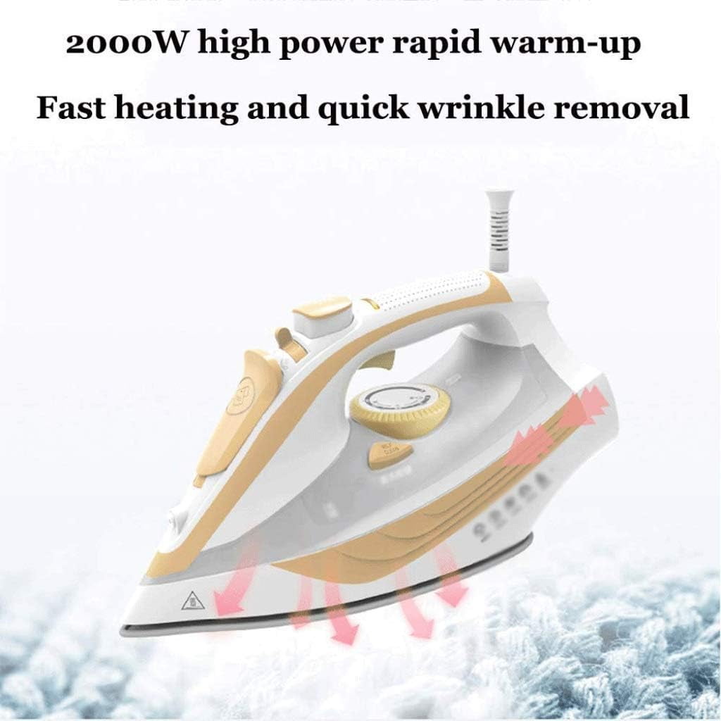 Speed Heat Steam Iron Vertical Steamer with Stainless Steel Sole Plate, Self Cleaning Function