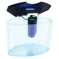 thumbnail image 4 of GloFish 5 Gallon Aquarium Kit with LED Light and Filter, 4 of 8