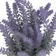 thumbnail image 1 of Small Artificial Plants Pots Mini Fake Potted Plants Ornament Indoor Outdoor Home Decor 7146C 02 Pleated Vase, 1 of 4