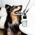 thumbnail image 3 of Paquete Eliminador de Olores para Mascotas Poo-Pourri Spray 472 ml y Vela 212 g, 3 of 7