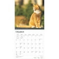 thumbnail image 3 of Ginger Cats | 2025 12x24" (Hanging) Square Wall Calendar | BrownTrout, 3 of 9