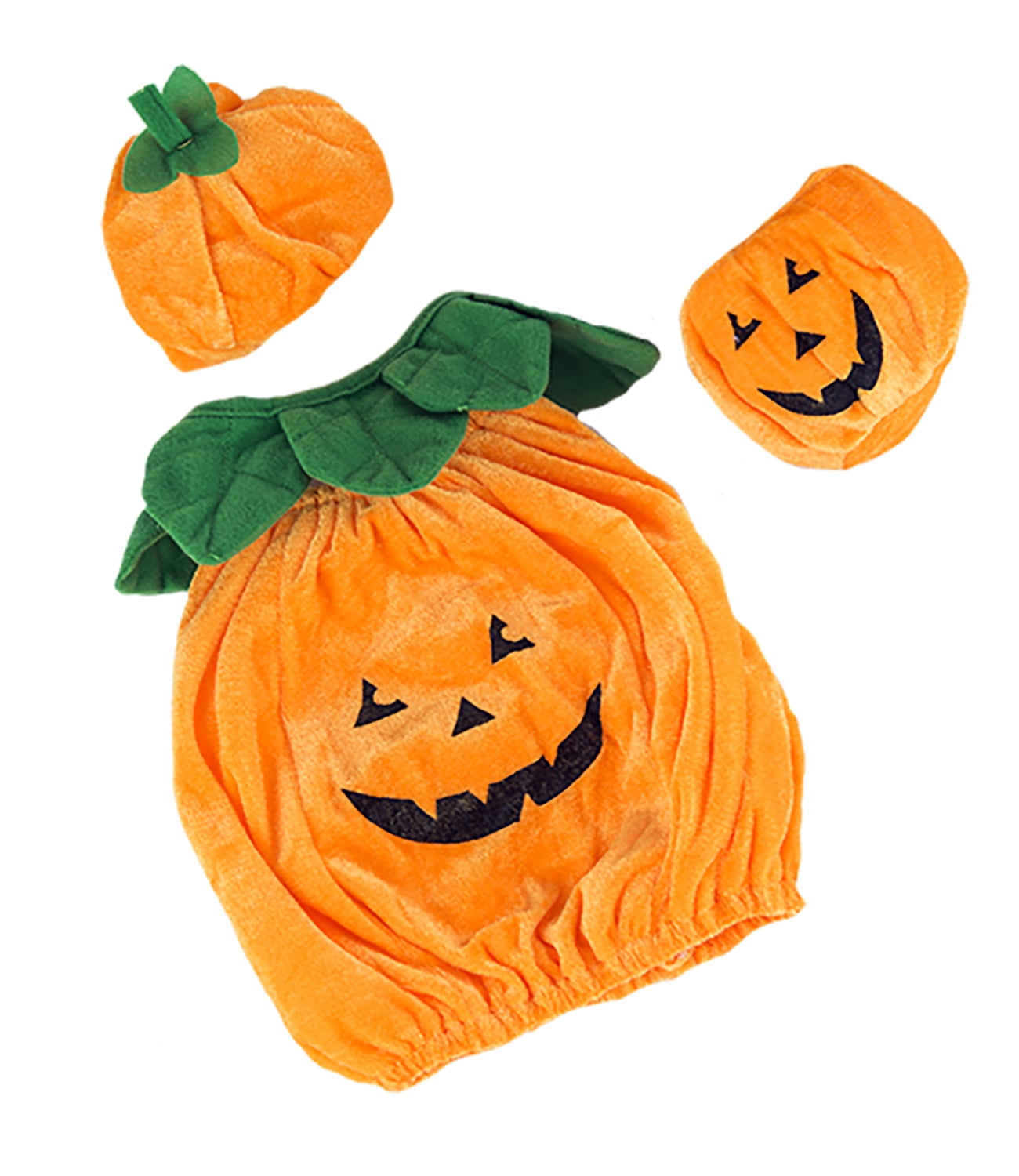 pumpkin patch teddy