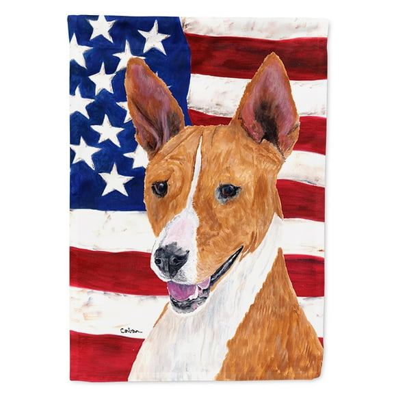 Carolines Treasures SC9033GF USA American Flag with Basenji Flag, Small, Multicolor