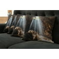 thumbnail image 2 of Ambesonne Nature Throw Pillow Cover 4 Pack, Sunbeams to Natural Cave, 20", Brown and Beige, 2 of 6