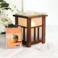 thumbnail image 2 of ScentSationals Scented Wax Cubes - Golden Apple, 2 of 4