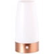 thumbnail image 1 of Batería de lámpara de mesa: lámpara de mesa LED con sensor de movimiento Pir, funciona con pilas, blanco cálido (lámpara de noche funciona con pilas) Ormromra LKX-1014, 1 of 8