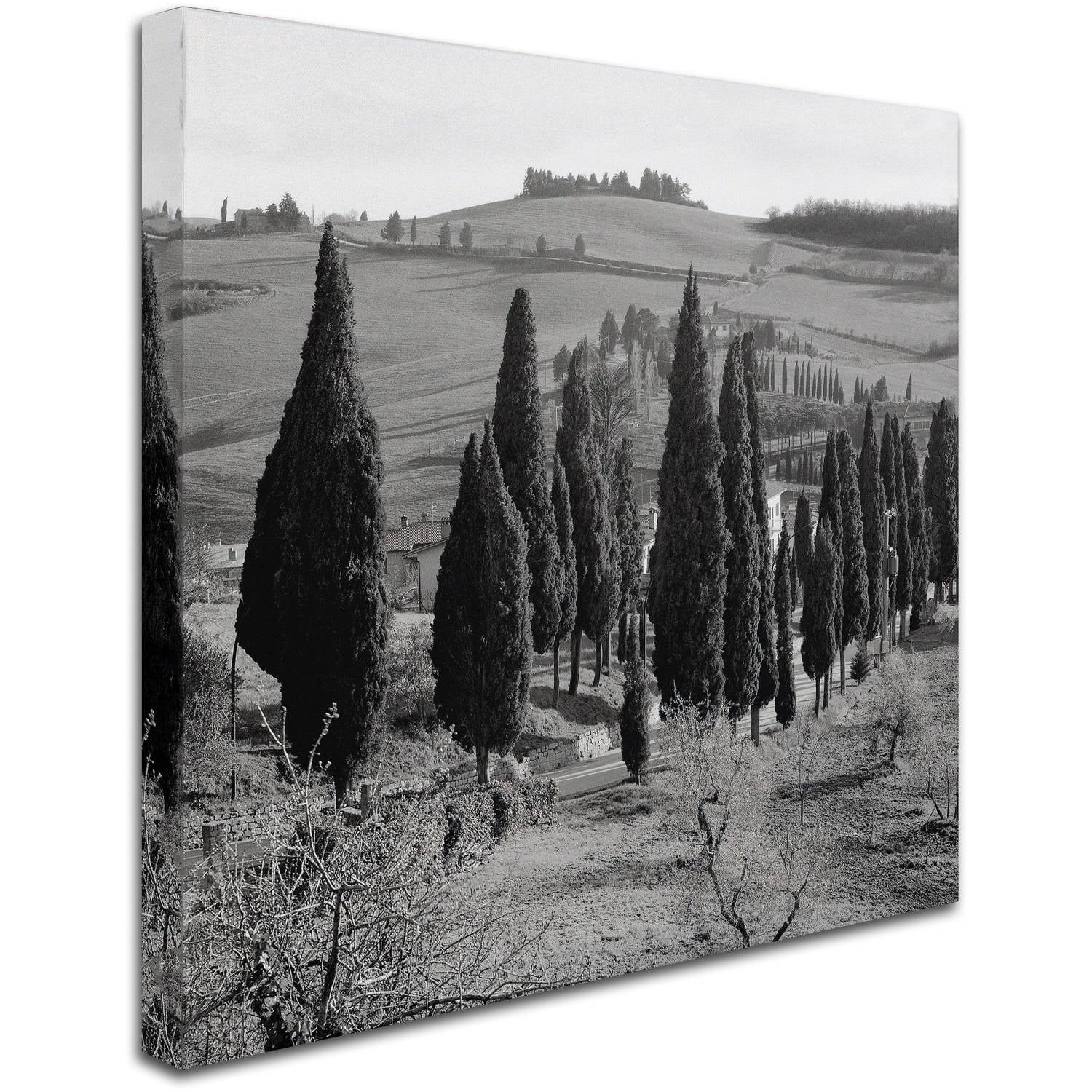 Trademark Fine Art "Tuscany IV" Canvas Art by Alan Blaustein