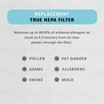 thumbnail image 2 of Homedics Total-Clean HEPA-Type Air Purifier Filter Replacements, Works with Homedics AT-PET01, AT-PET02, and AT-45 Air Purifiers, Captures Microscopic Airborne Particles, 2 of 8