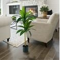 thumbnail image 6 of Mainstays Artificial Plant, Dracaena Artificial Plant, 3.3ft, Black Plastic Pot, 6 of 7