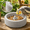 white 1PCS, variant on Bird Food Dish Natural Porous Pumice Stone Bowl with Beak Grooming Texture for Budgie Parakeet Cockatiel and Conure 4.72 x 1.57 in
