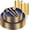 Navy Blue Gold, variant on 150PCS Ivory Plastic Plates with Gold Trim - Heavy Duty Cream Disposable Tableware for Party & Wedding - Includes 25 Dinner Plates, 25 Dessert Plates, 25 Knives, 25 Forks, 25 Spoons & 25 Cups