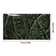 thumbnail image 2 of Autocollant en PVC motif arbres jungle pour aquarium, décoration pour réservoir de reptiles, 91 x 50 cm, 2 of 4