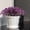 10 Pack-WD7906, variant on 10 Pack Of Simulation Violet Artificial Flowers Outdoor Protection Artificial Flowers Garden Decoration Artificial Flowers