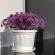 thumbnail image 1 of Simulation Violet Artificial Flowers Outdoor Protection Artificial Flowers Garden Decoration Artificial Flowers, 1 of 9