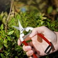 thumbnail image 5 of Professional Stainless Steel Garden Pruning Scissors - Rust-Resistant, High-Elasticity Spring Mechanism, Ergonomic Non-Slip Handles for Gardening, Fruit Picking, and Branch Cutting - 2 Size Options, 5 of 5