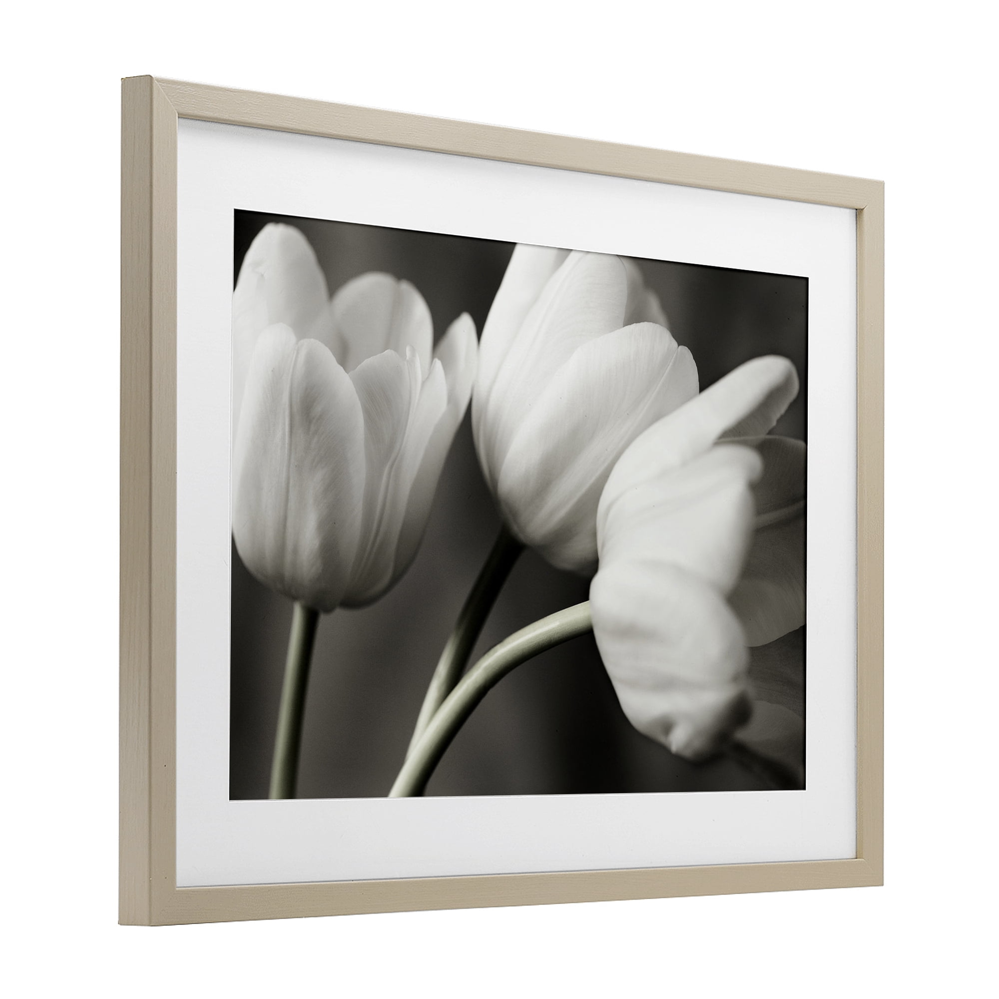 Stupell Industries Row Of Monochrome Tulips Birch Framed Print Under Glass, design by Tom Quartermaine