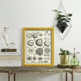 thumbnail image 5 of Aegean Collection II -Framed Print w/glass-Sunflower Yellow, 5 of 7