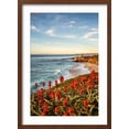 thumbnail image 2 of Art.com USA, California, La Jolla. Blooming aloe and Wipeout Beach Photographic Print by Ann Collins, Brown Frame Wall Art, 17" x 23", 2 of 5