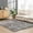 Gray, White / Andia, variant on Hauteloom Andia Living Room, Bedroom Area Rug - Plush Pile - Silver,Silverstone - 6'7" x 9'