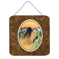 Carolines Treasures SS8318DS66 Briard Aluminum Metal Wall or Door Hanging Prints, 6 x 6", Multicolor