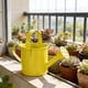 thumbnail image 5 of CaiYueKe Mini Watering Can Small Metal Tin Indoor Outdoor Plant Sprinkler Creative Household Gardening Pot Watering Tool for Potted Plants Herbs Flowers Vegetables, 5 of 7