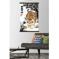thumbnail image 2 of Alexander The Fat Tiger - Prowling Wall Poster with Magnetic Frame, 22.375" x 34", 2 of 6